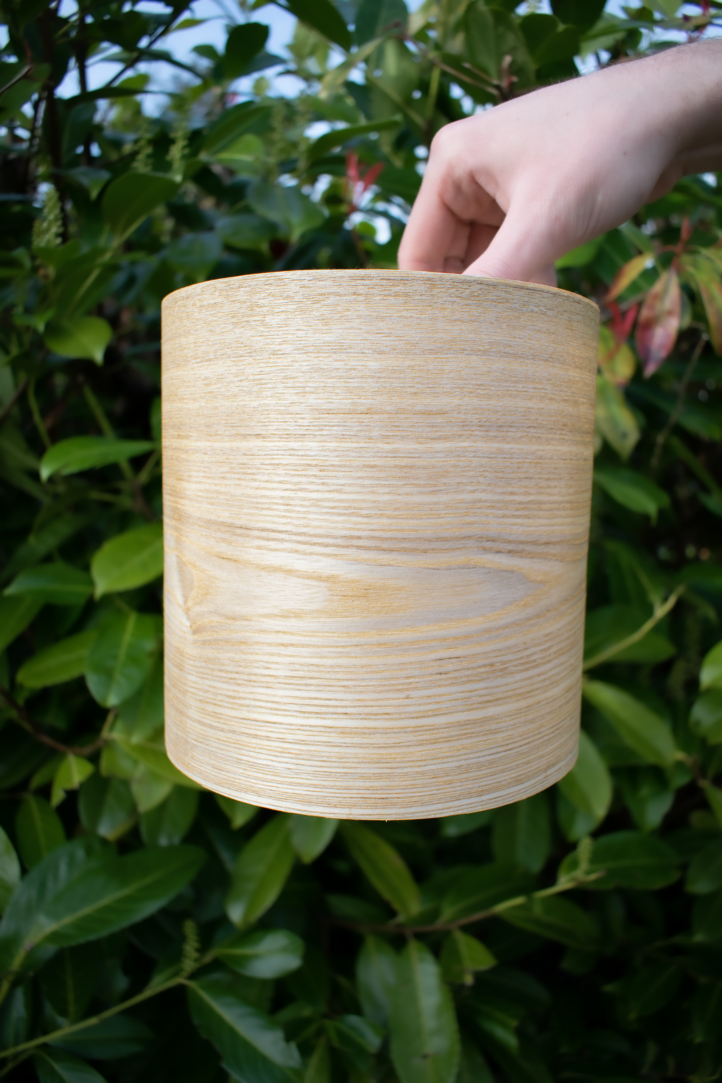 20cm Ash Oak Wood veneer ceiling pendant light shade