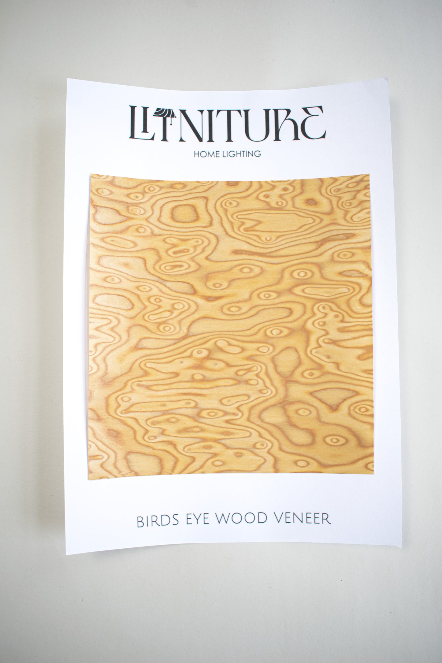 5 Wood Veneer Sample Pack for Litniture Light Shades - Walnut Light Ash Oak Maple Birds Eye